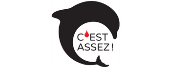 logo c'est assez